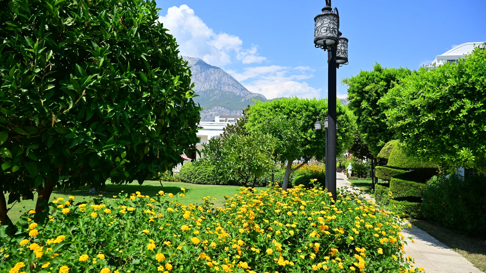 Karmir Resort & Spa